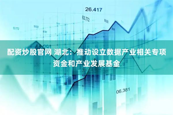 配资炒股官网 湖北：推动设立数据产业相关专项资金和产业发展基金